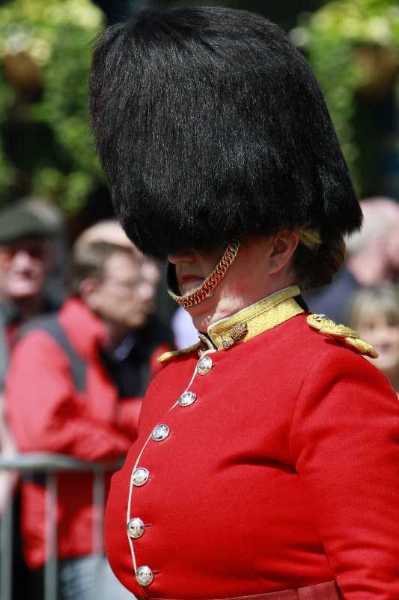 Images/_MG_8808.jpg