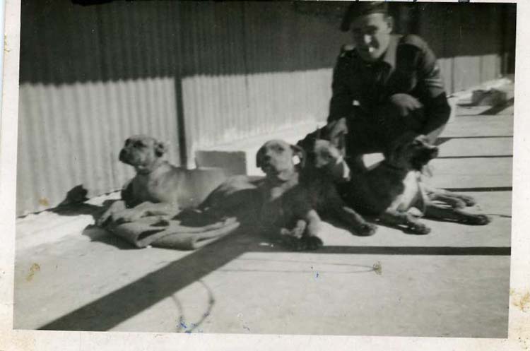 Pete, Pat, Simon, Paddy, Haifa  Palastine