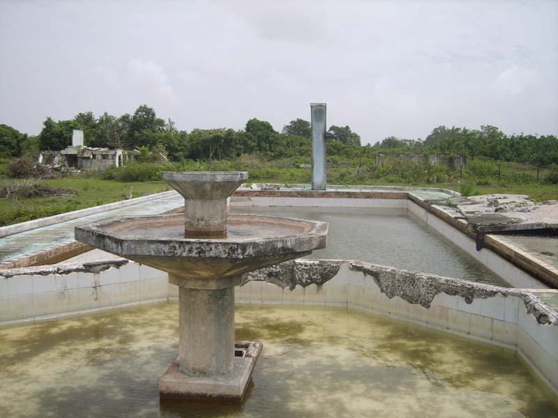 017_What_is_left_of_the_ swimming_pool_at_Leonora